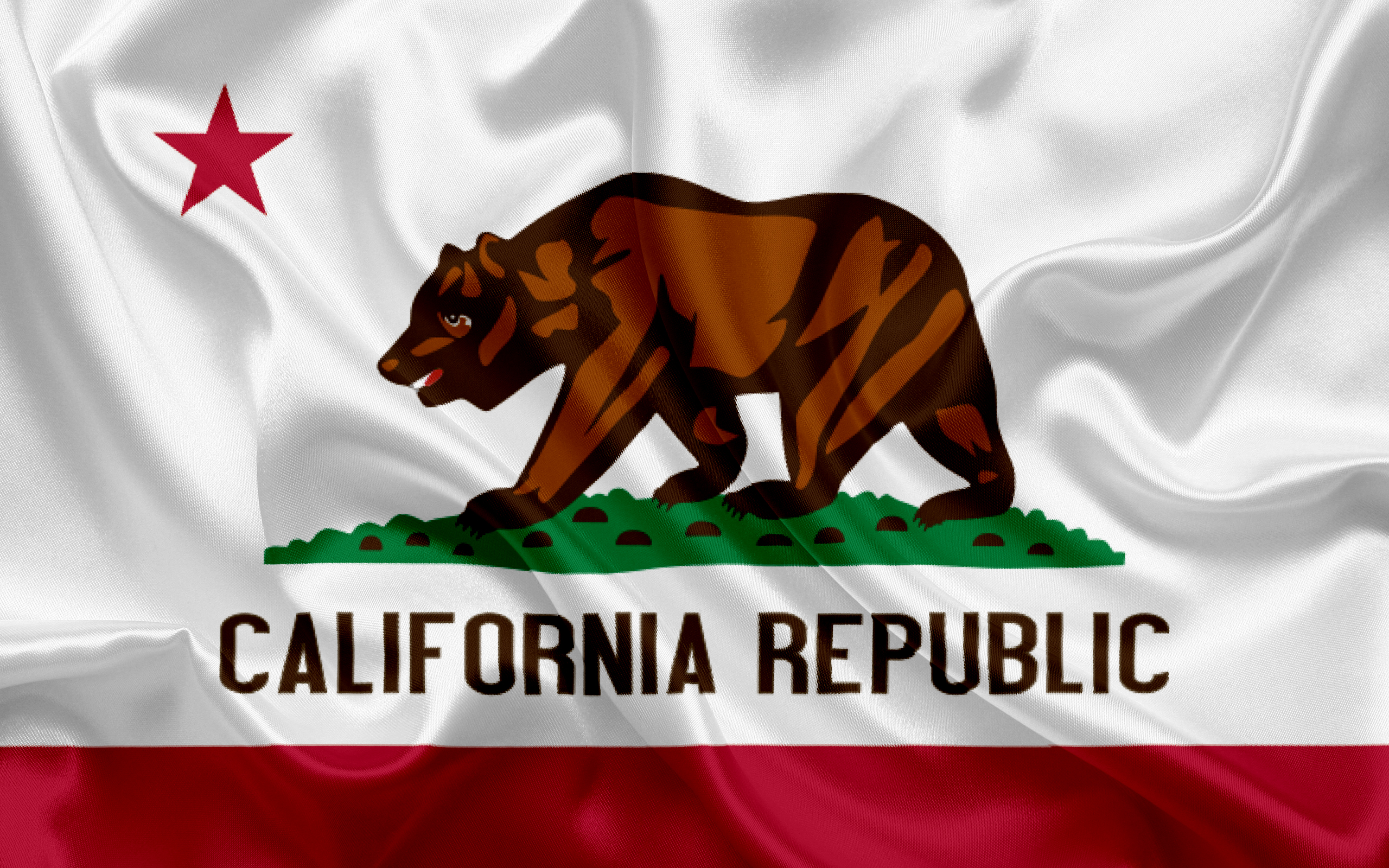 California Flag, Flags Of States, Flag State Of California, - Large California State Flag , HD Wallpaper & Backgrounds