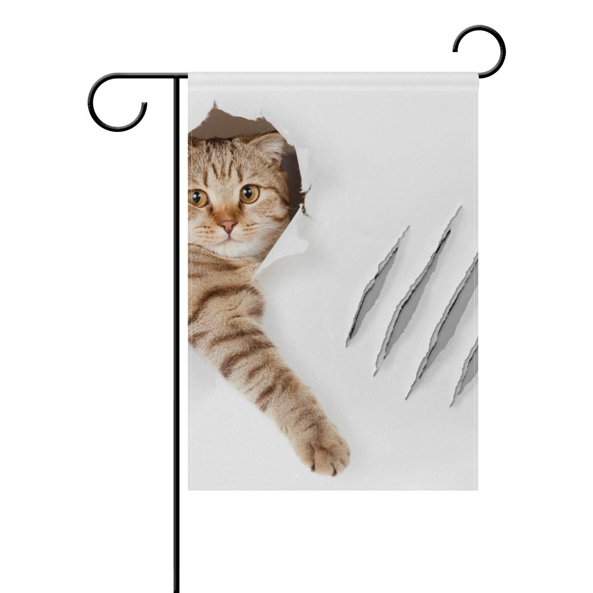 Senya Double Sided Yard Garden Flag, Funny Cat In Wallpaper - Cat Scratches Art , HD Wallpaper & Backgrounds