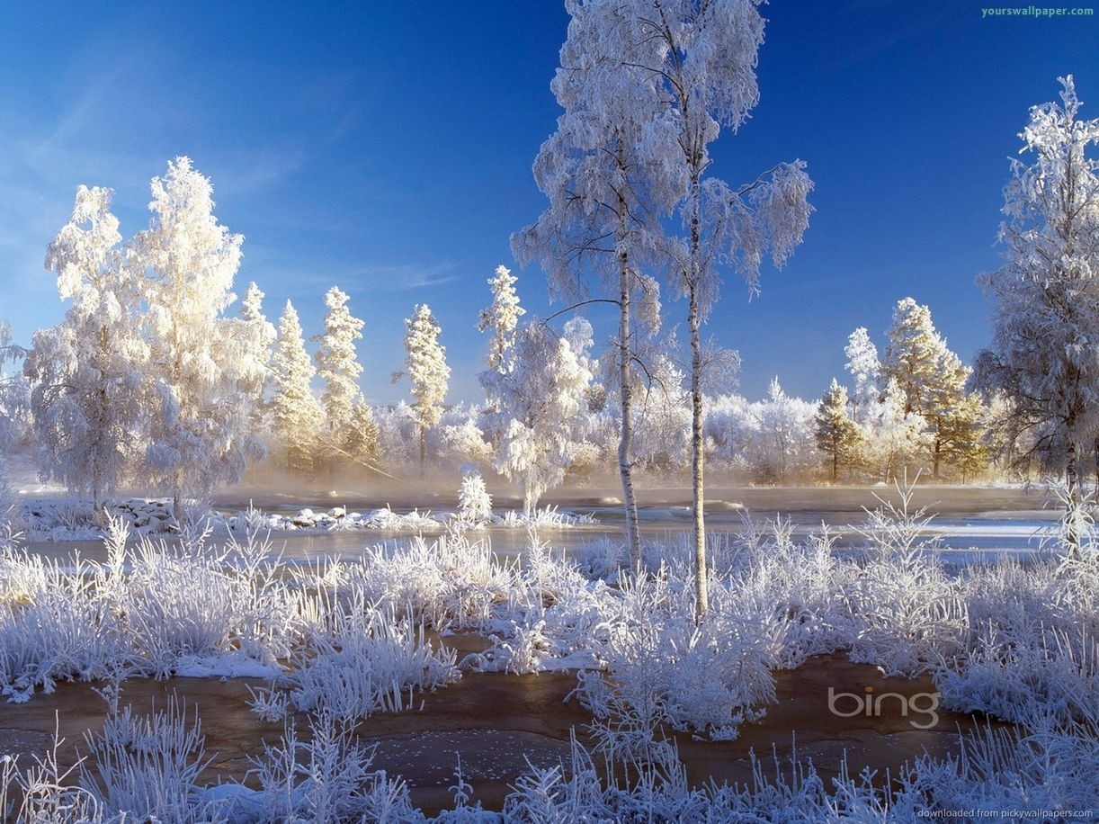 Group Of Bing Wallpaper Snow Storm - Bing Images Wallpaper Winter , HD Wallpaper & Backgrounds