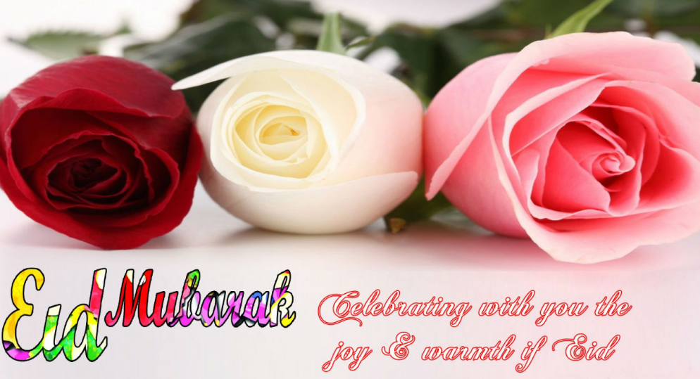 Eid Mubarak Wallpaper Free Download - Beautiful Roses With Quotes , HD Wallpaper & Backgrounds