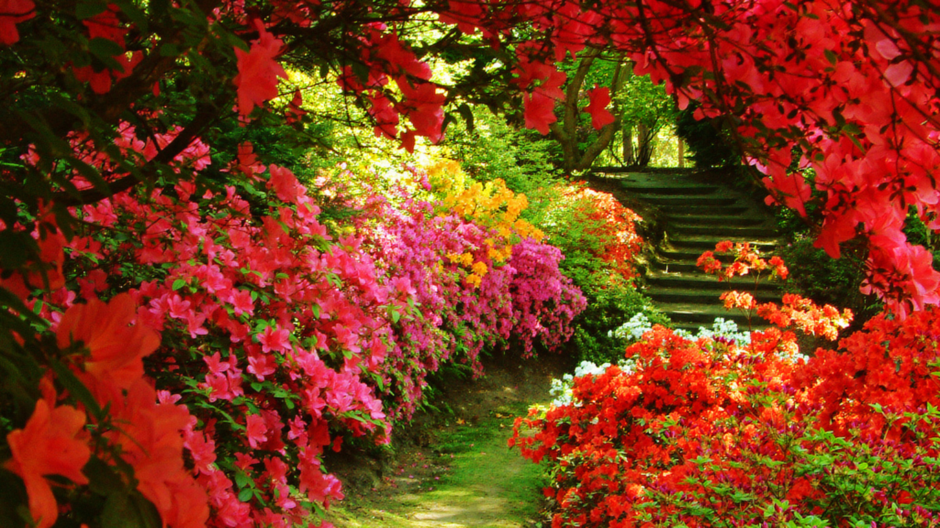 This Spring Follow Your Dreams - Beautiful Garden Background Hd , HD Wallpaper & Backgrounds