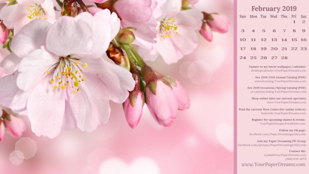 February's Wallpaper/calendar - Spring Flowers , HD Wallpaper & Backgrounds
