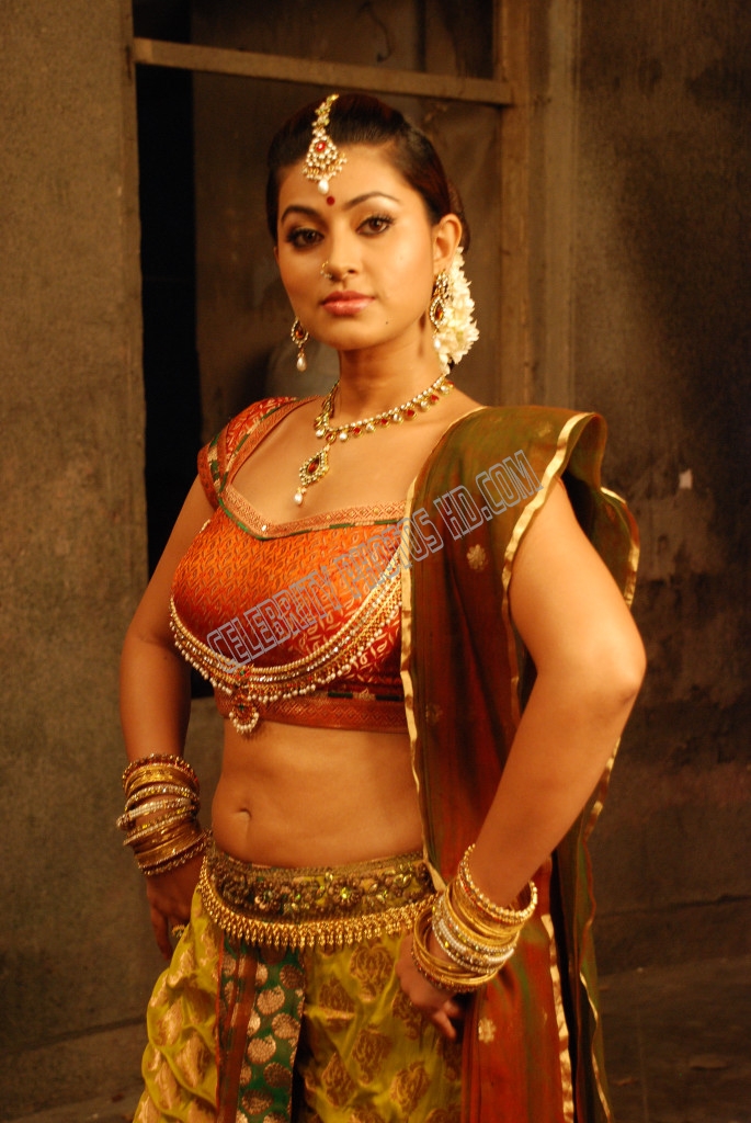 South Indian Film Actress Sneha Hot Photos - Tamil Hot Actres Sneha , HD Wallpaper & Backgrounds