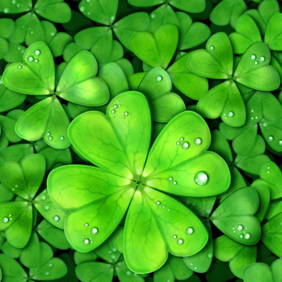 38 Lucky Wallpapers - Lucky Wallpaper Hd Mobile , HD Wallpaper & Backgrounds