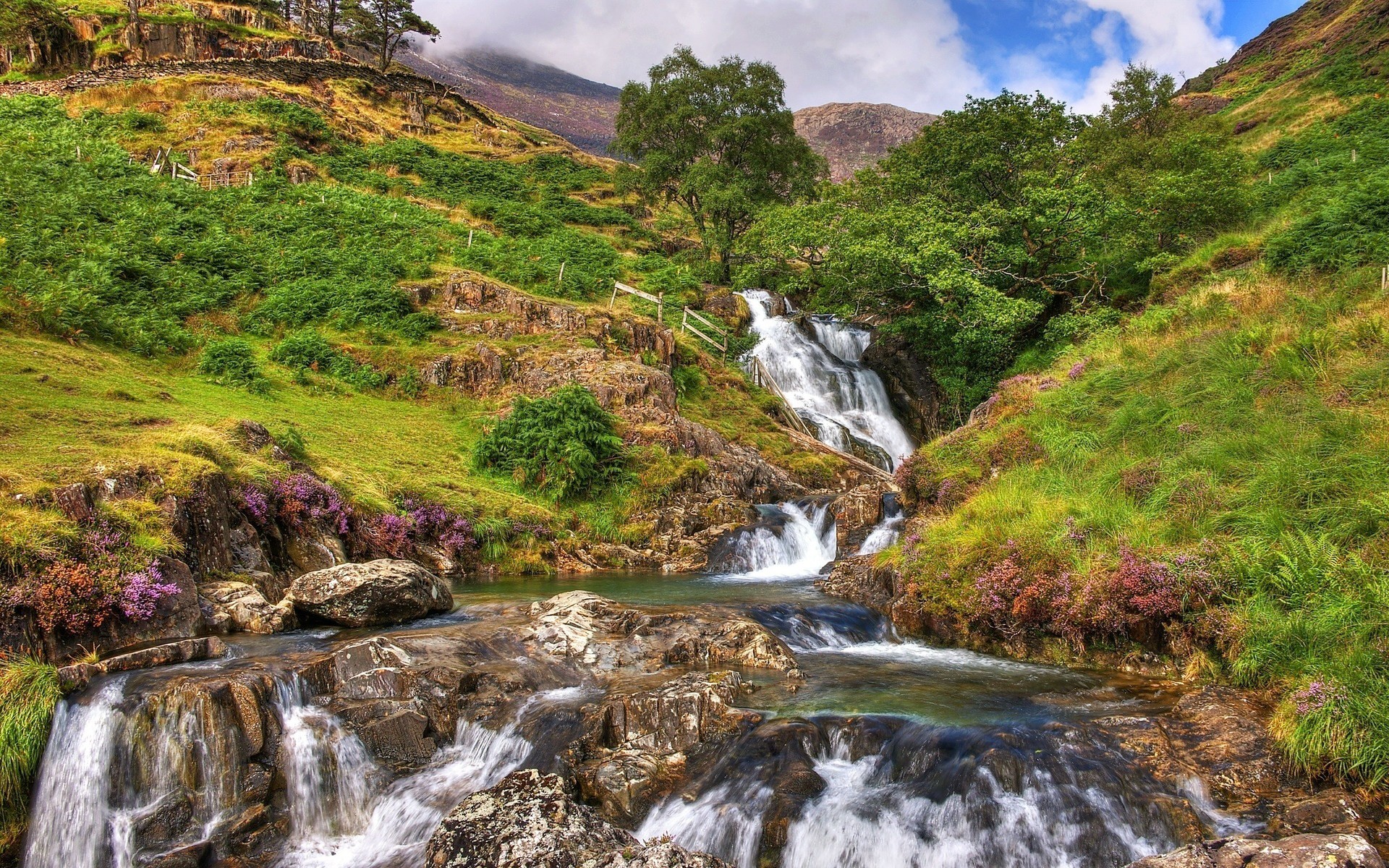 Gorgeous Beautiful Waterfalls Grass Nature Creek Live - Scenery Including Mountains Hills River Waterfall Rock , HD Wallpaper & Backgrounds