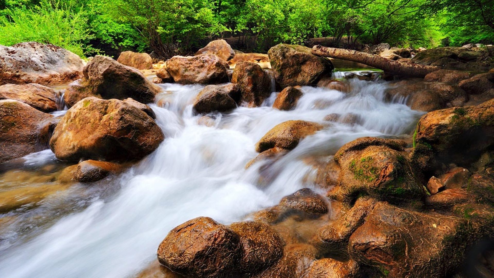 Waterfalls Rocks Forest Stream Nature Little Waterfall - Tributary , HD Wallpaper & Backgrounds