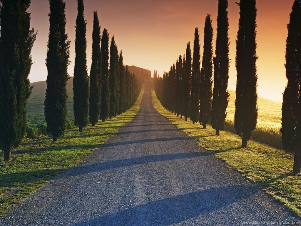 Road With Sunset And Trees , HD Wallpaper & Backgrounds