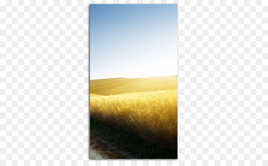 Take Me Home Country Roads, Desktop Wallpaper, Iphone, - Field , HD Wallpaper & Backgrounds