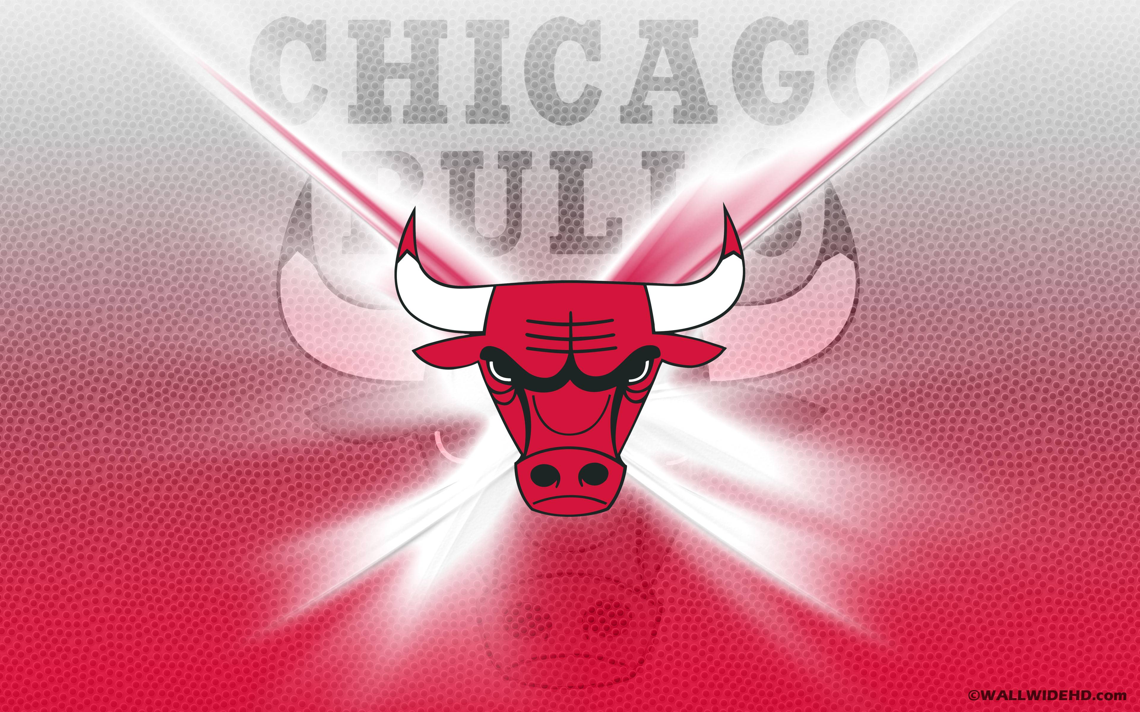Chicago Bulls Wallpapers Hd - Chicago Bull Cool Logo , HD Wallpaper & Backgrounds