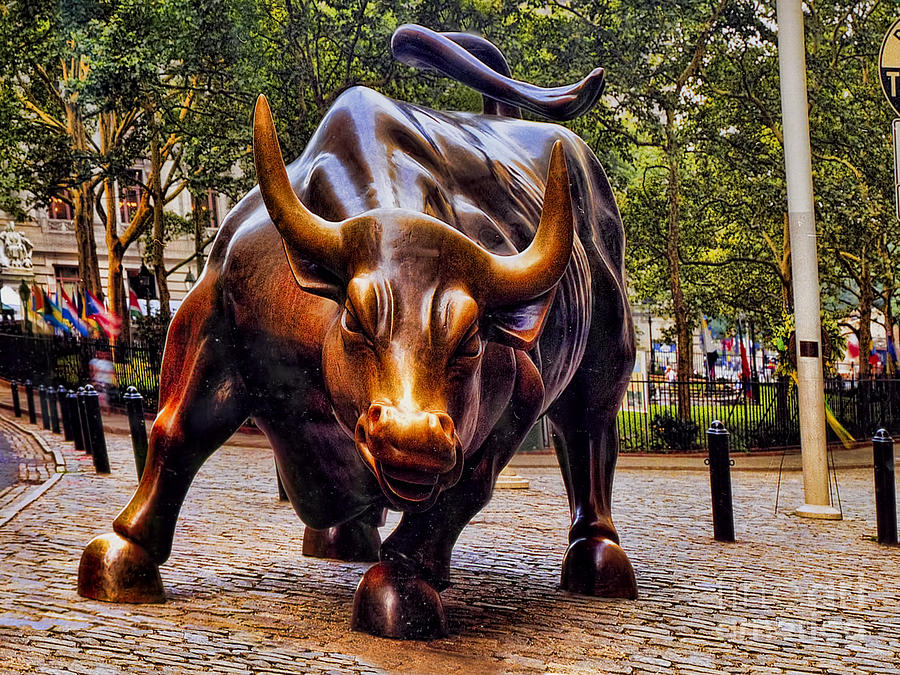 Charging Bull , HD Wallpaper & Backgrounds