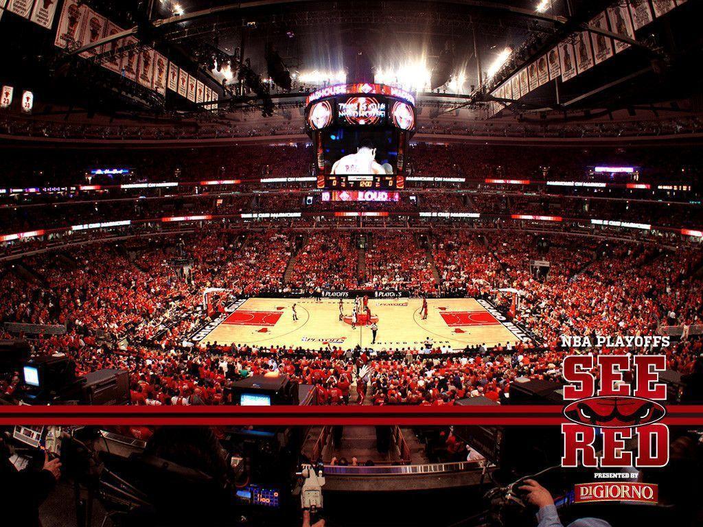 Chicago Bulls Wallpapers - Chicago Bulls Stadium , HD Wallpaper & Backgrounds