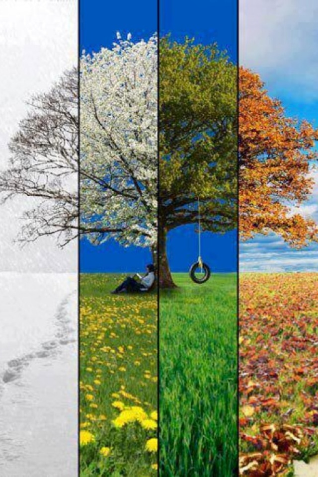 Four Seasons Tjn , HD Wallpaper & Backgrounds