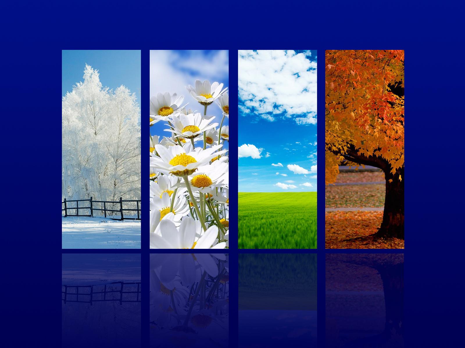 Four - 4 Seasons Hd , HD Wallpaper & Backgrounds