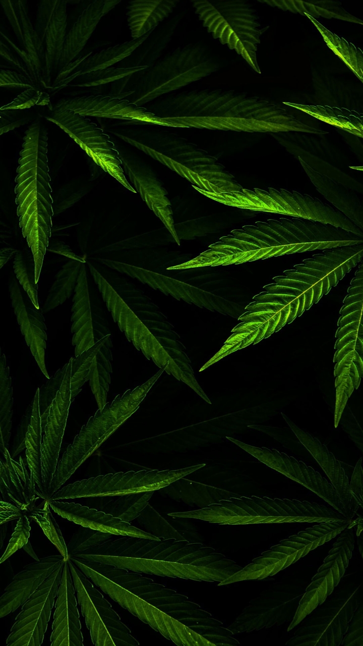 Weed Background , HD Wallpaper & Backgrounds