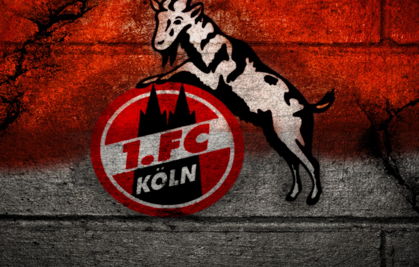 Photo Wallpaper Wallpaper, Sport, Logo, Football, - Fc Köln , HD Wallpaper & Backgrounds