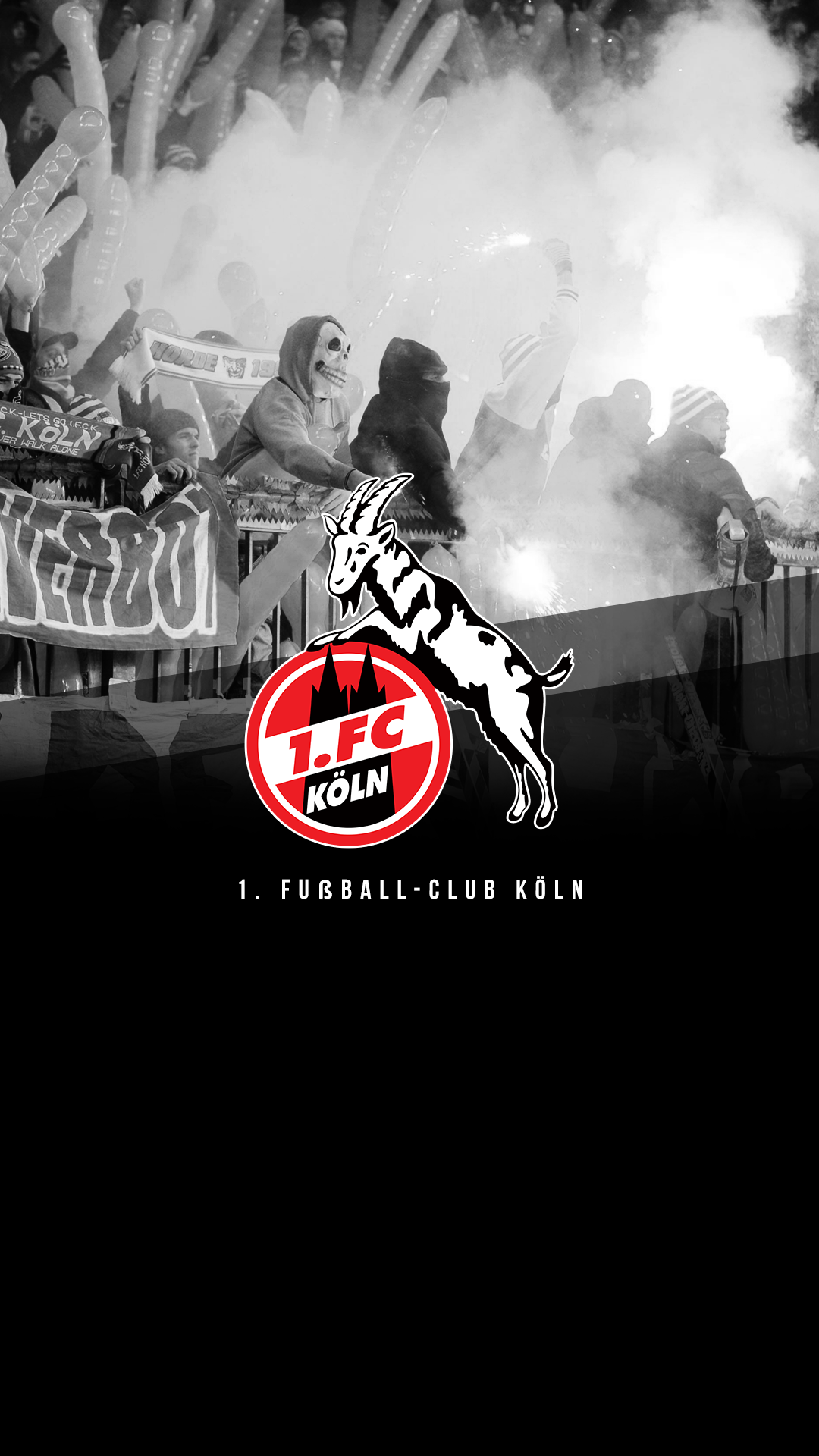 #fc Koln - 1 Fc Köln Handy , HD Wallpaper & Backgrounds