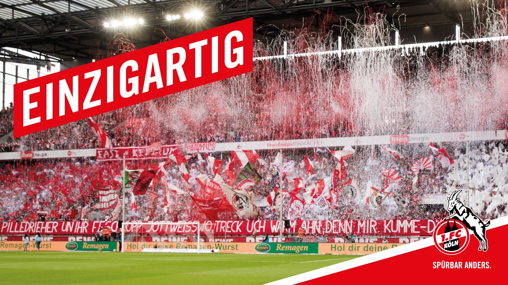Get Fc Köln Wallpaper Background