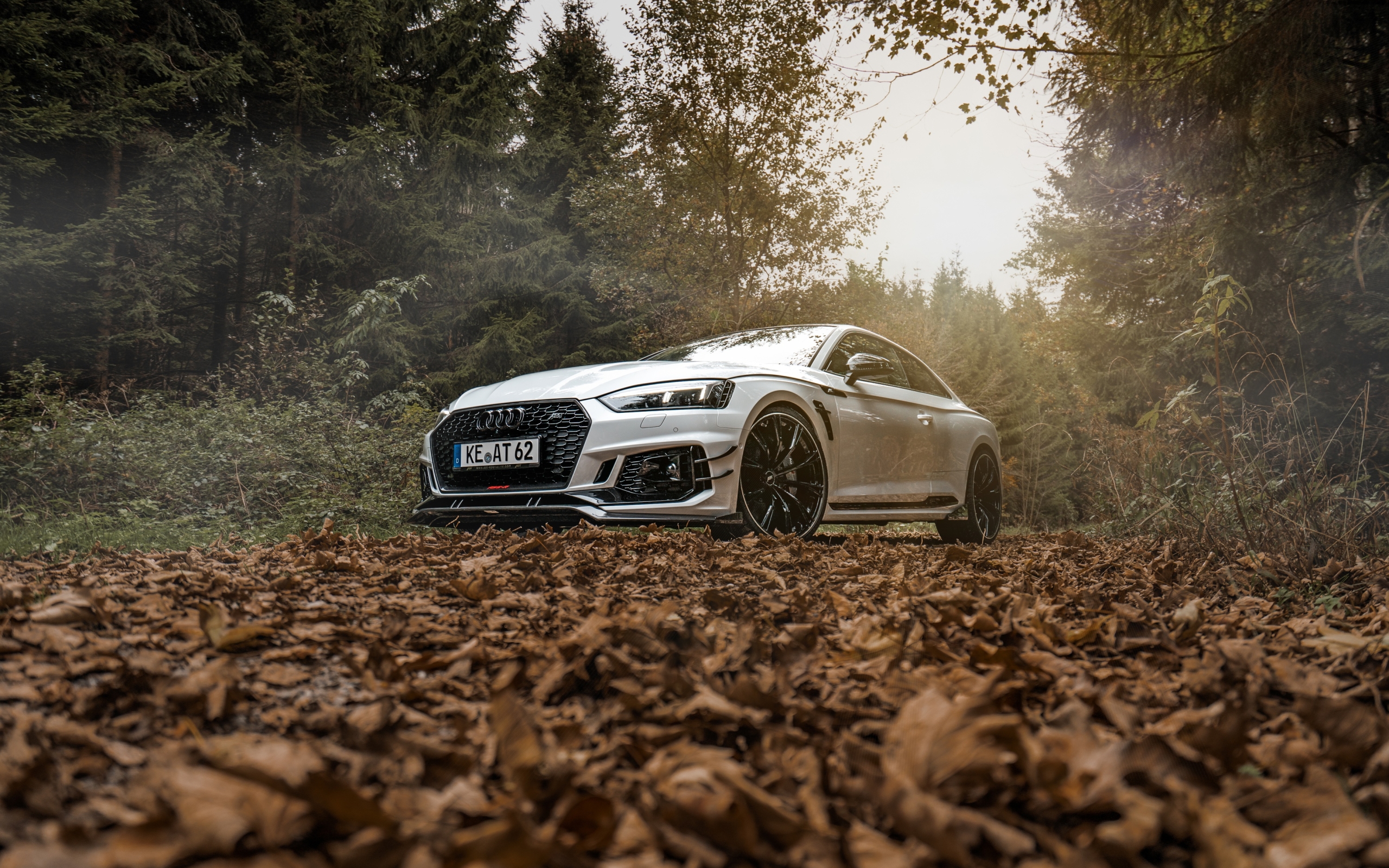 Wallpaper Of Audi Rs5 Coupé, Vehicle, Leaves, Fog, - Audi Rs5 , HD Wallpaper & Backgrounds