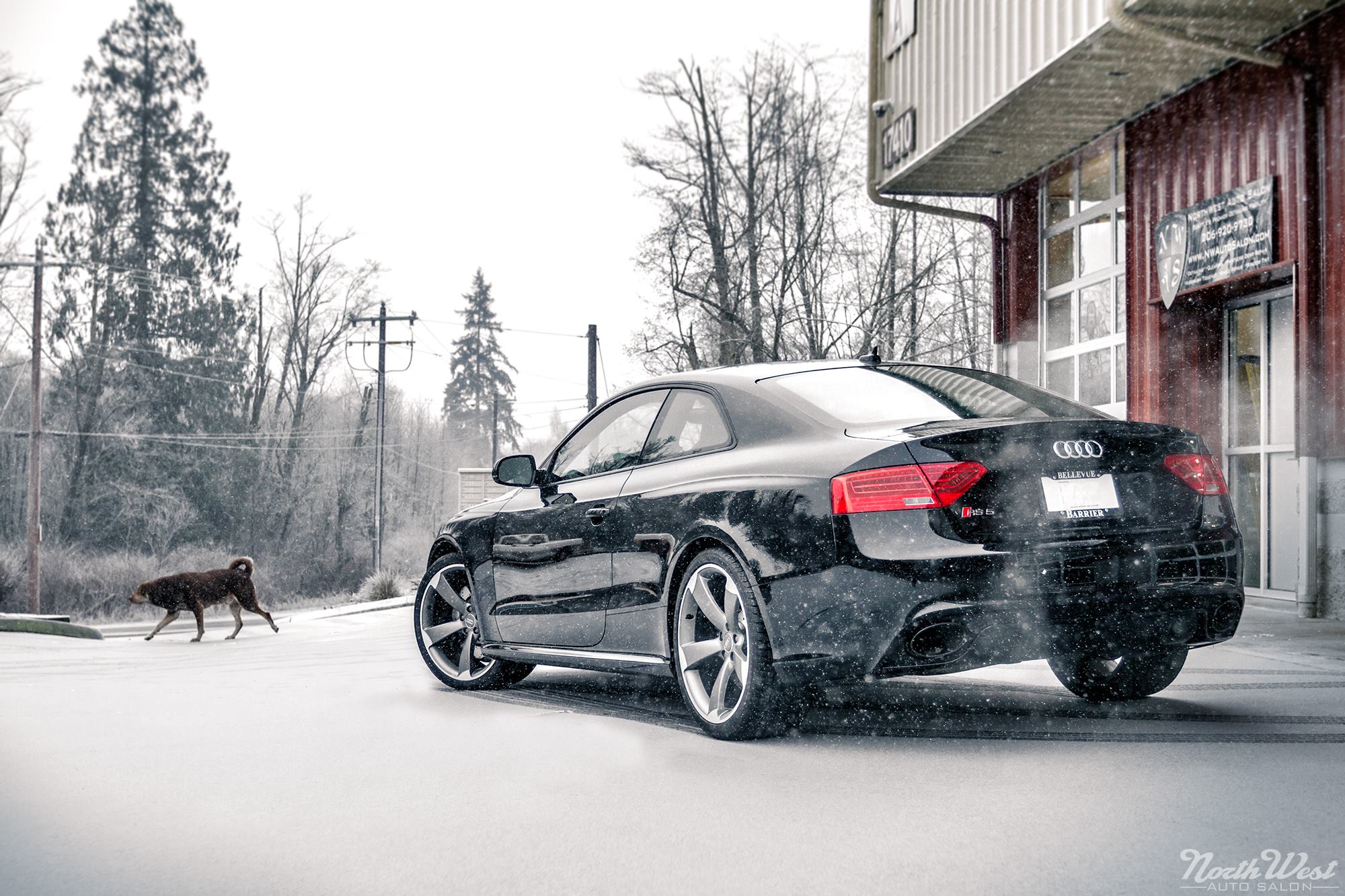 2013 Audi Rs5 Black Hd Wallpapers - Audi Rs5 2013 , HD Wallpaper & Backgrounds