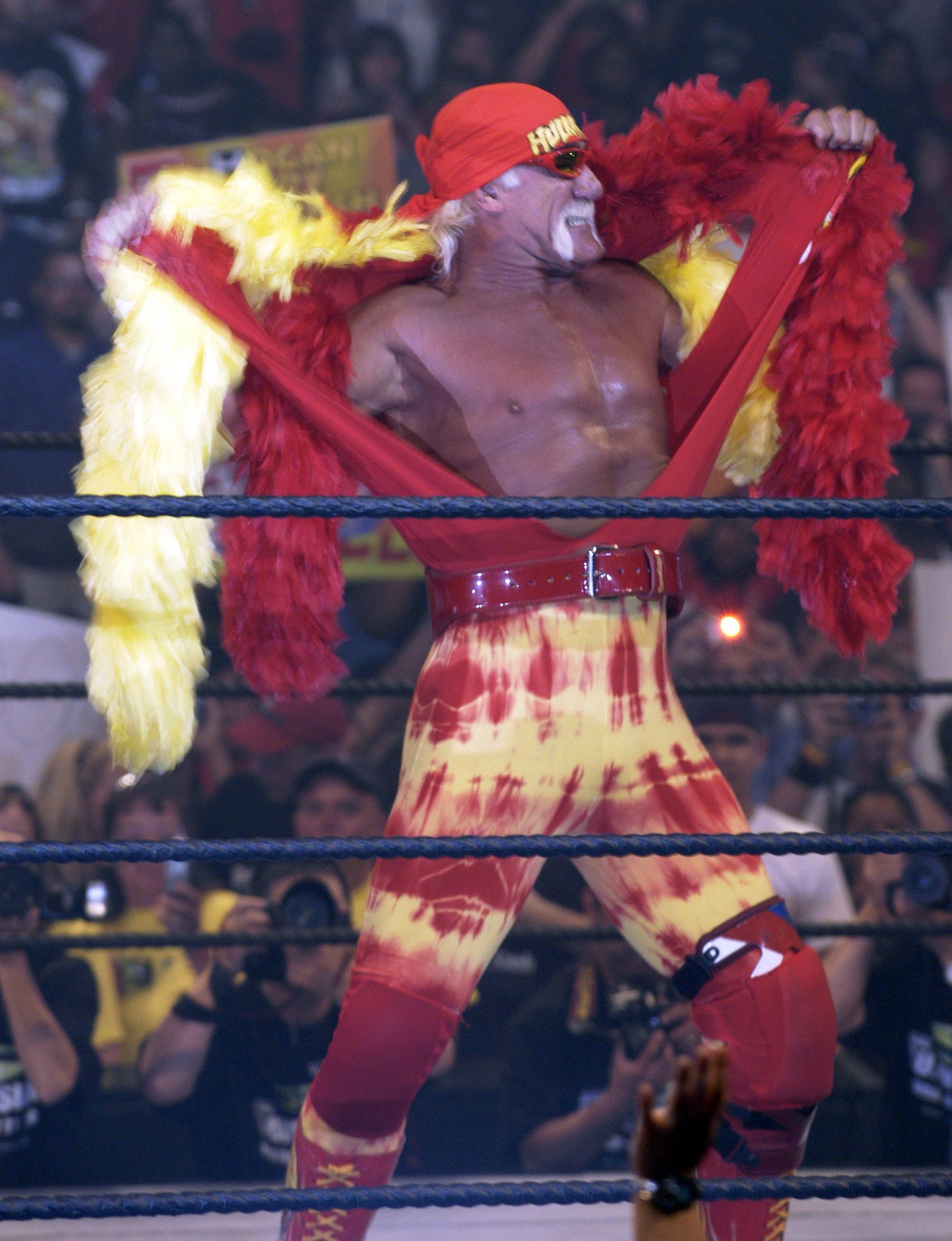 Wwe Hulk Hogan 2005 , HD Wallpaper & Backgrounds