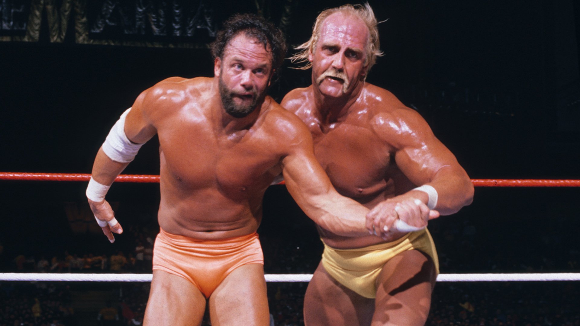 Hulk Hogan Vs - Spider Man 1 Randy Savage , HD Wallpaper & Backgrounds