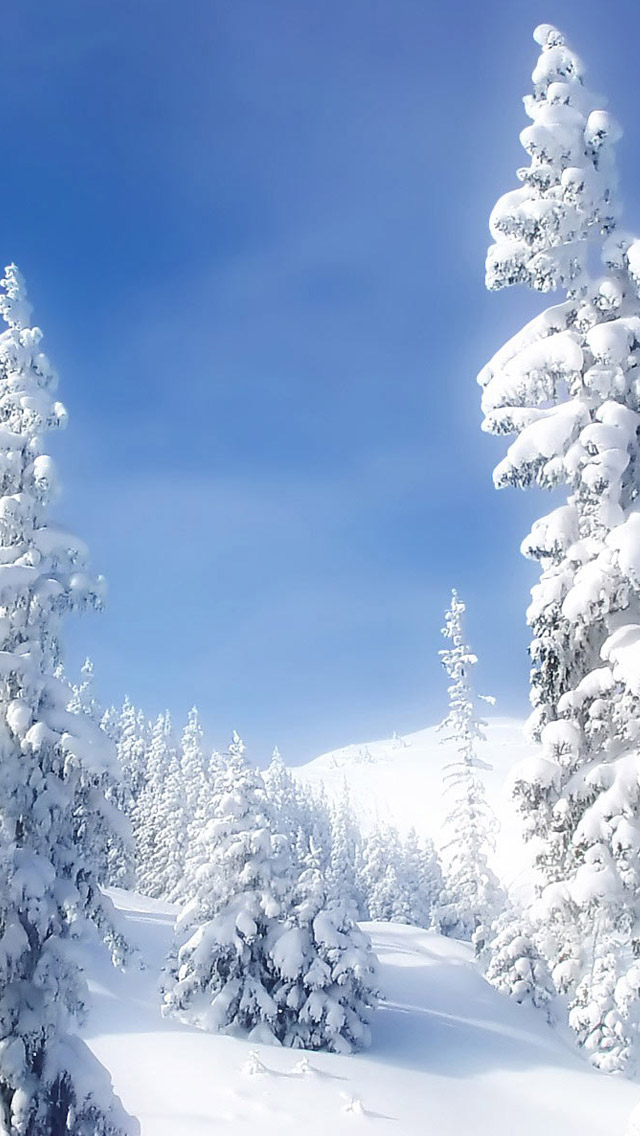 Download Wallpaper - Christmas Snow Wallpaper Iphone , HD Wallpaper & Backgrounds