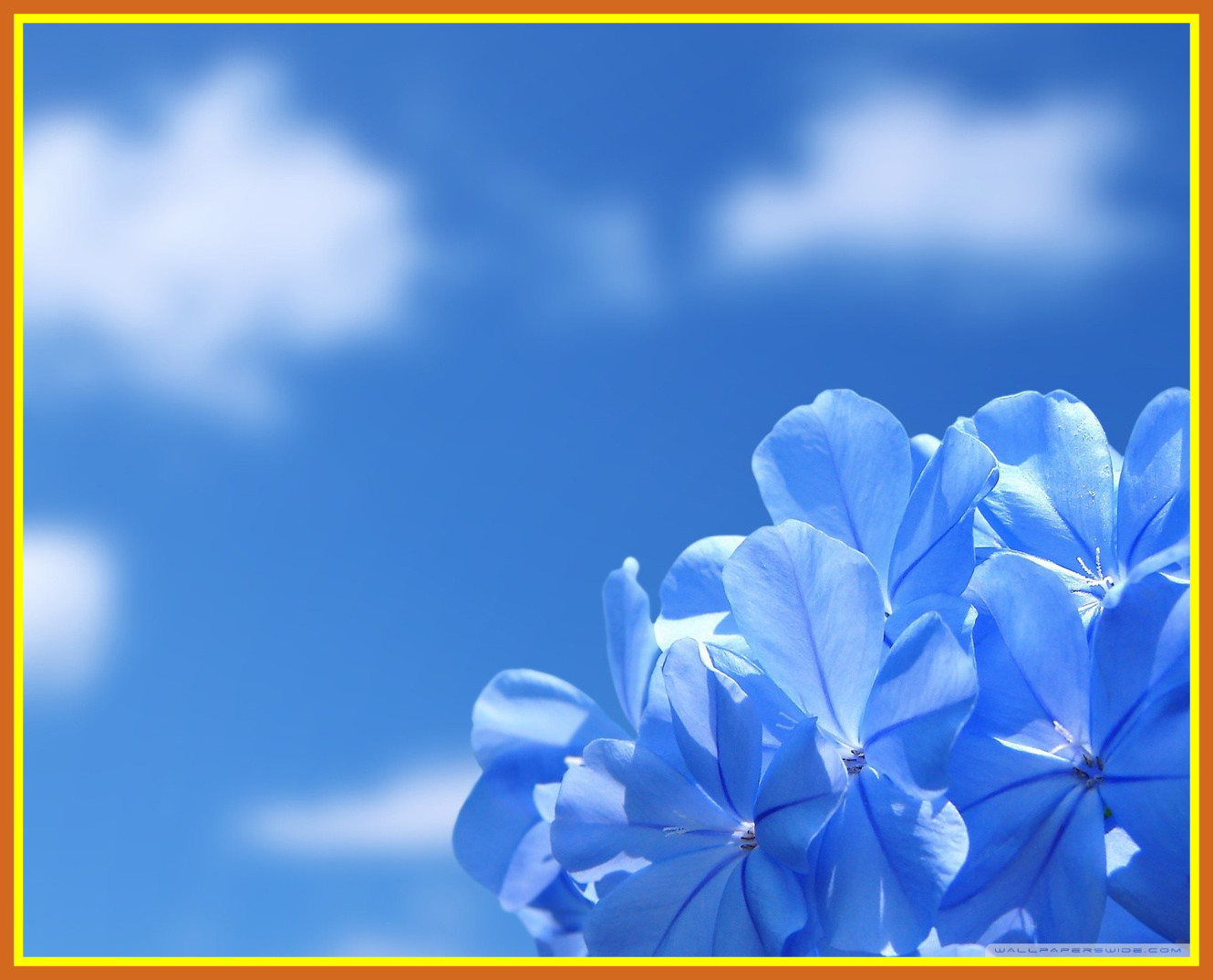 Desktop Wallpaper - Sky Blue Colour Background , HD Wallpaper & Backgrounds