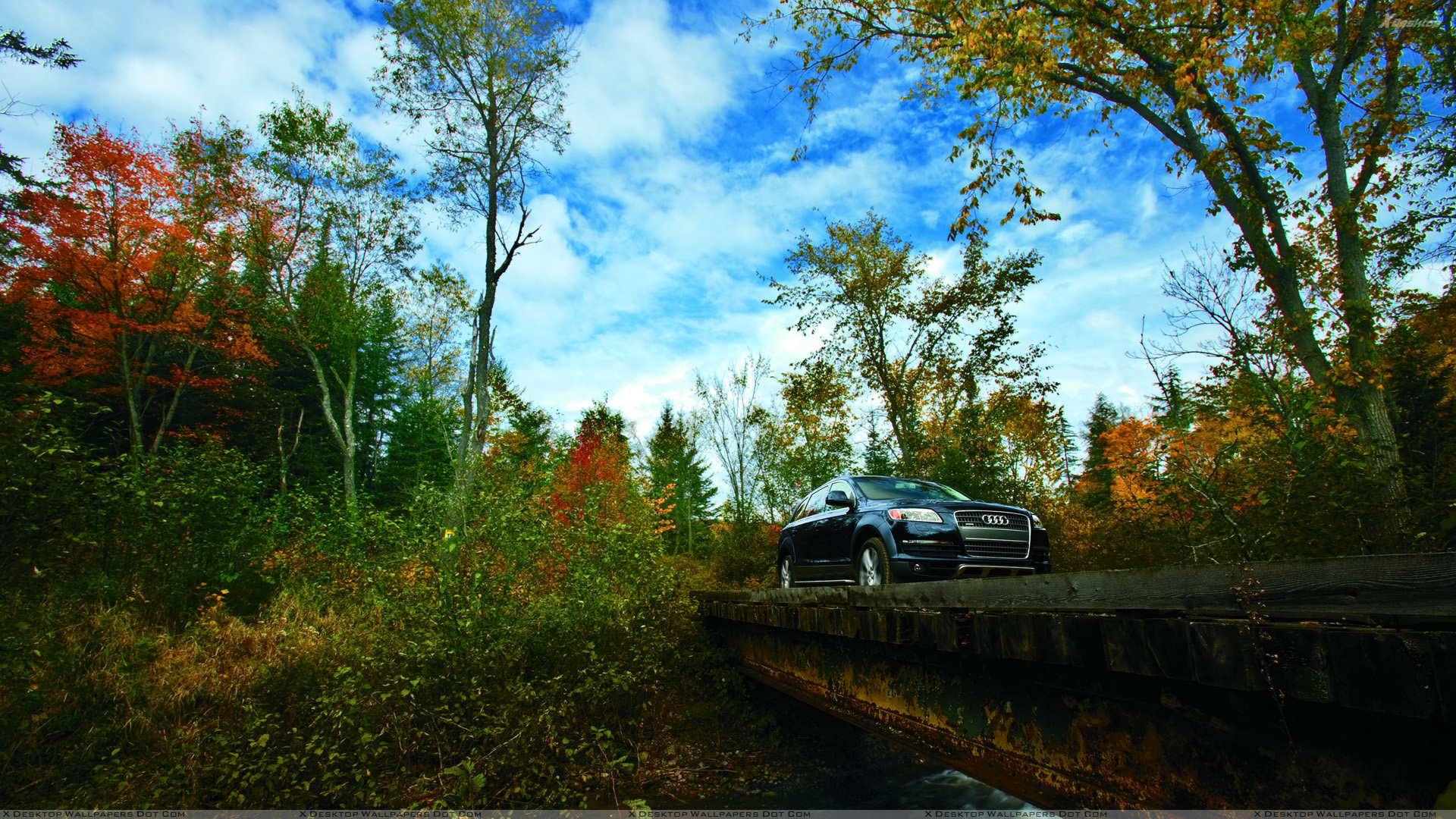 View Wallpaper Details - Audi Q7 Black On Road , HD Wallpaper & Backgrounds