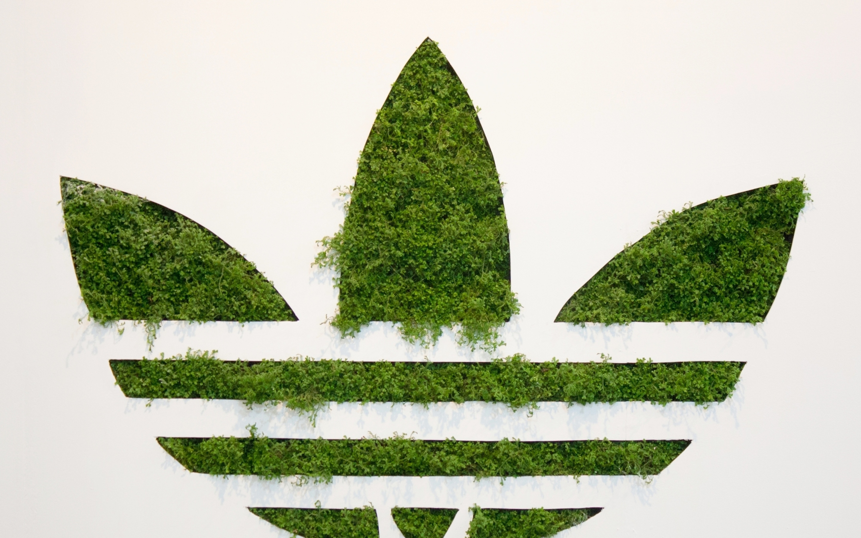 Adidas Grass Logo - Adidas Wallpaper Iphone X , HD Wallpaper & Backgrounds