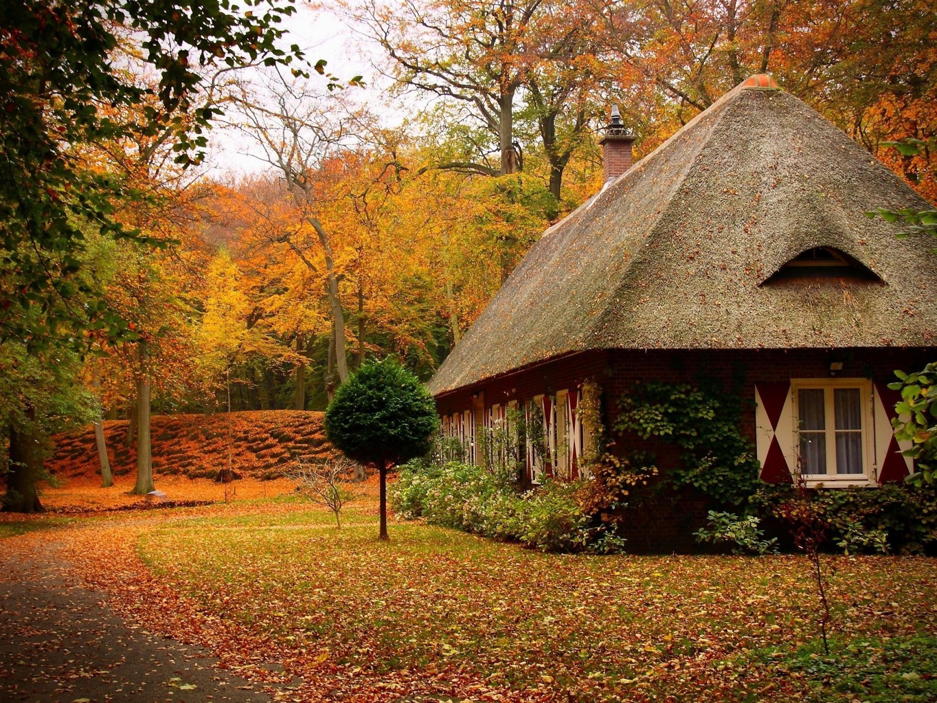 Related Wallpapers Album - - Beautiful House In The Forest , HD Wallpaper & Backgrounds