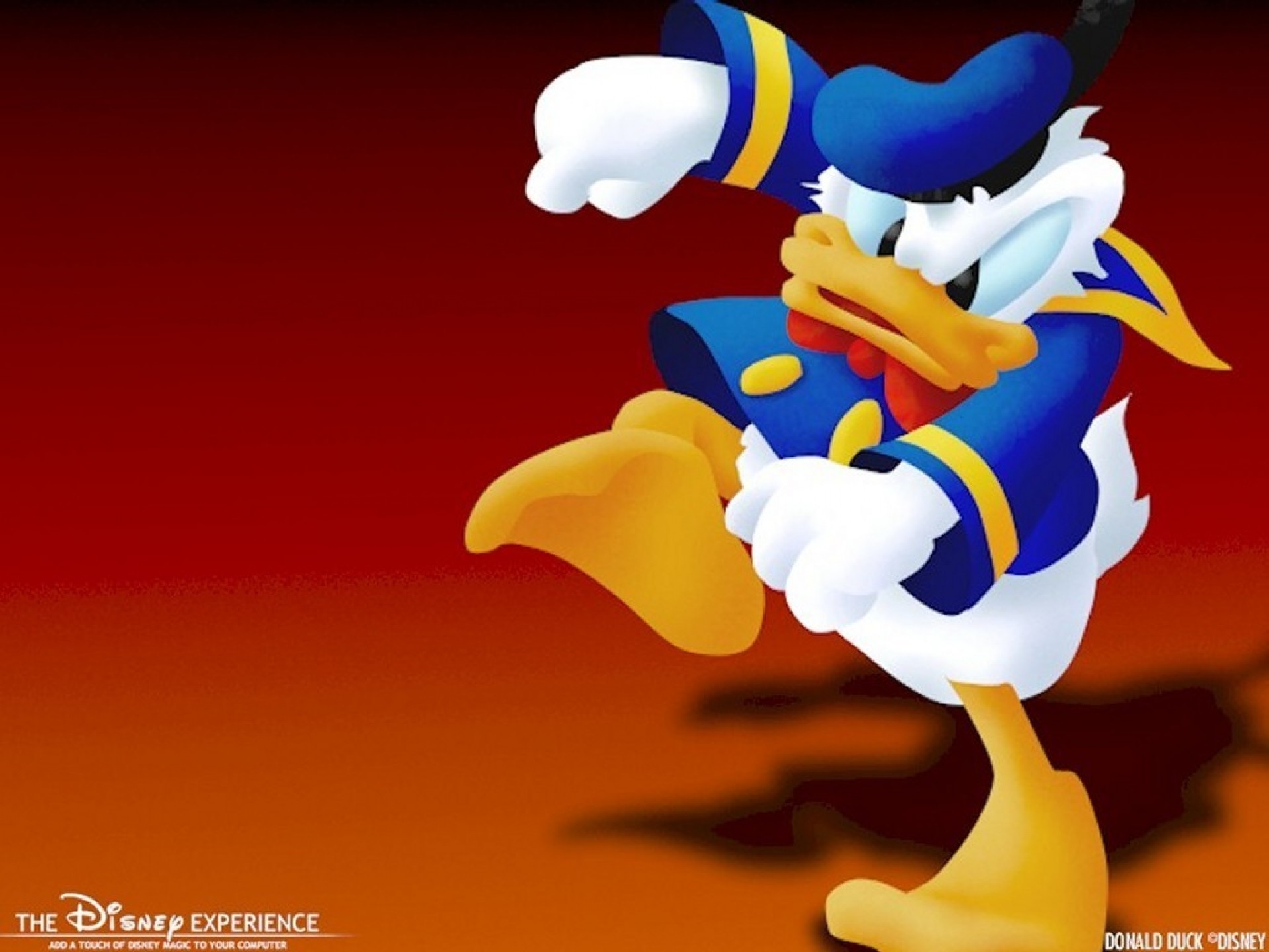 Daisy Duck Image On We Heart It - Donald Duck Wallpaper Disney , HD Wallpaper & Backgrounds