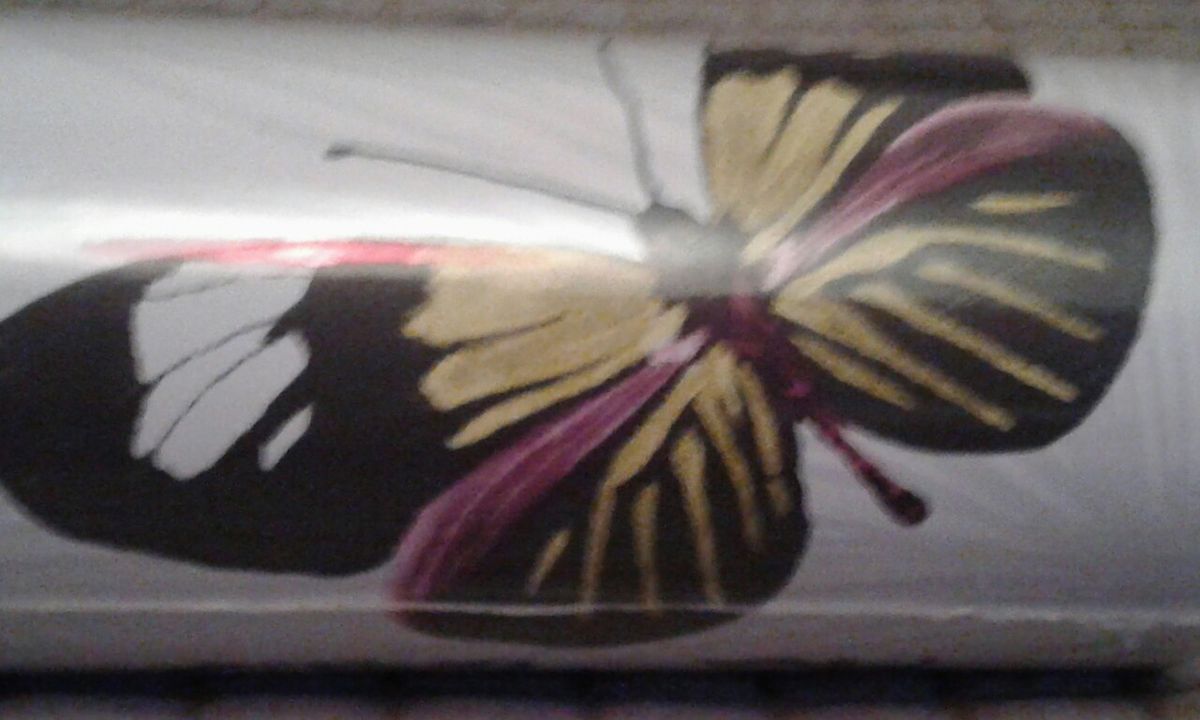 Brand New Butterfly Wallpaper - Pieridae , HD Wallpaper & Backgrounds
