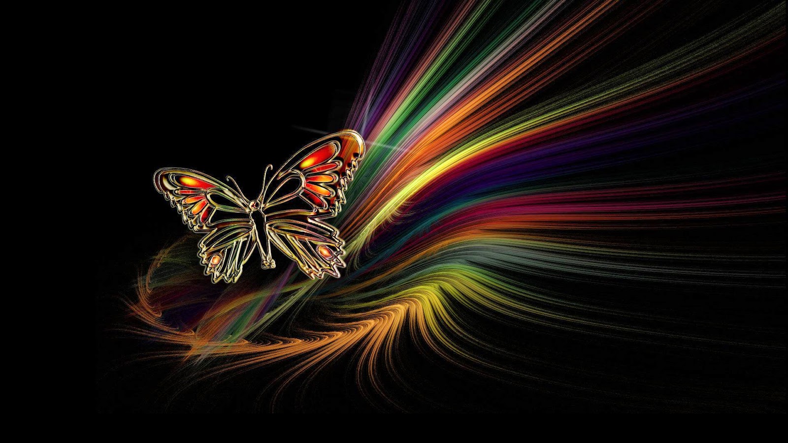 Colourful Butterfly Wallpapers - Butterfly Images Hd 3d Download , HD Wallpaper & Backgrounds