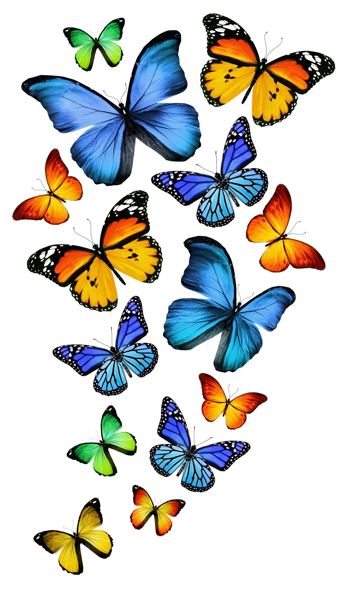 3d, Blue, Green, Blue, Yellow, Butterfly, Green, Yellow, - Butterfly Group Images Png , HD Wallpaper & Backgrounds