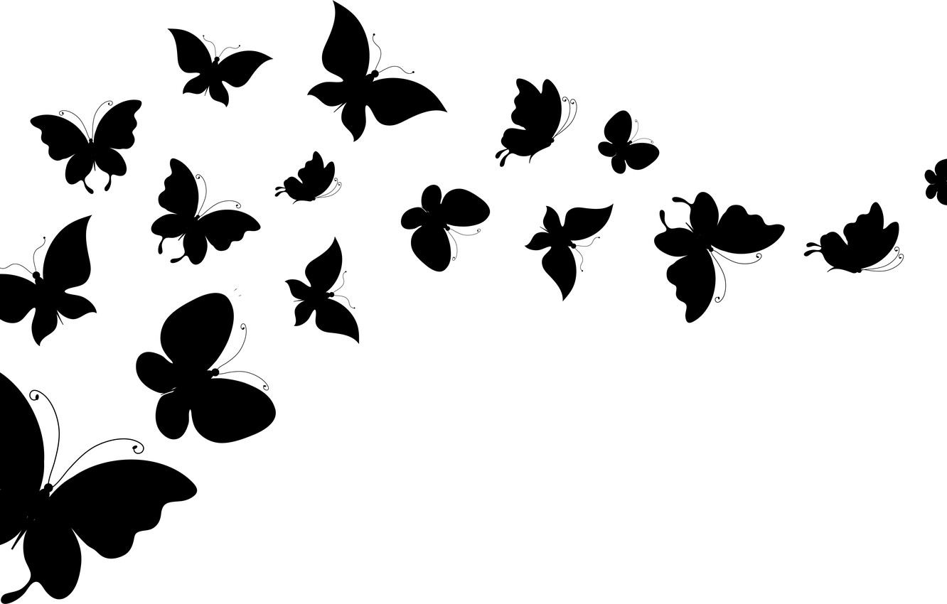Photo Wallpaper White, Butterfly, Background, Wings, - Flying Butterflies Clipart Black And White , HD Wallpaper & Backgrounds