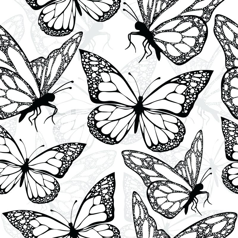 Black And White Butterfly Textile Print Fabric Design - Print Black And White Textile Design , HD Wallpaper & Backgrounds