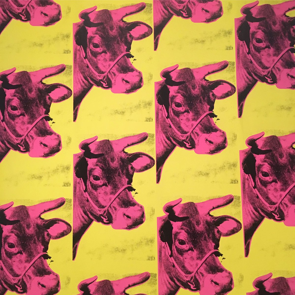 Ocma / Orange County Museum Of Art - Andy Warhol Dark Star , HD Wallpaper & Backgrounds