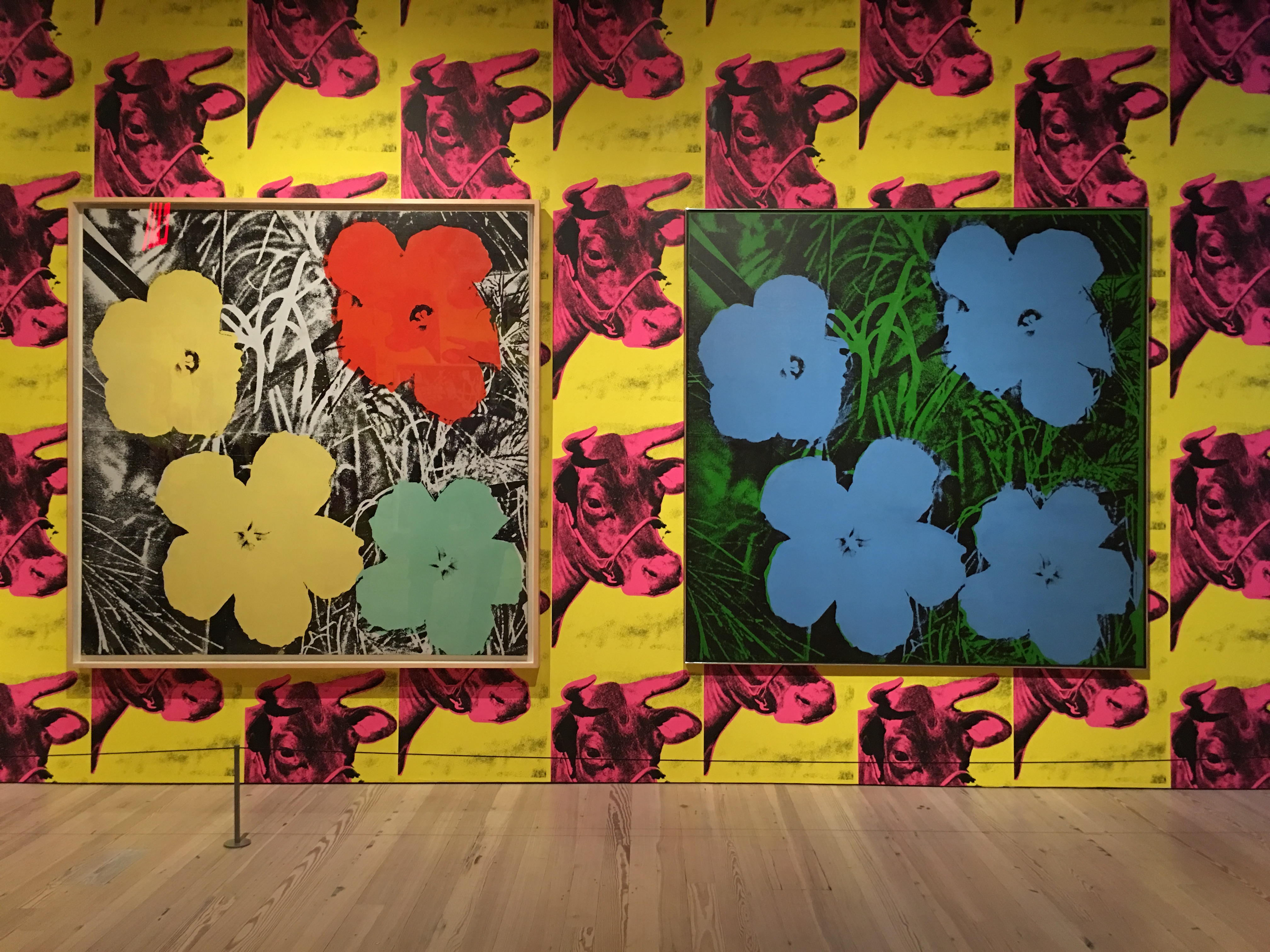 Andy Warhol's 1964 “flowers” Series And 1966 “cow Wallpaper - Whitney Museum Warhol Flowers , HD Wallpaper & Backgrounds