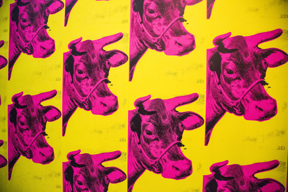 Cow Wallpaper Andy Warhol - Andy Warhol Wallpaper Cow , HD Wallpaper & Backgrounds