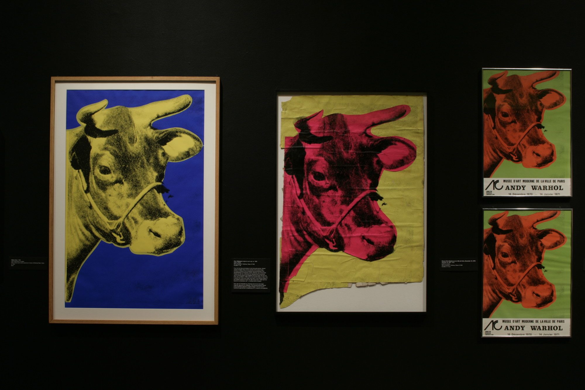 Installation Photo By Arthur Evans - Andy Warhol Cow , HD Wallpaper & Backgrounds