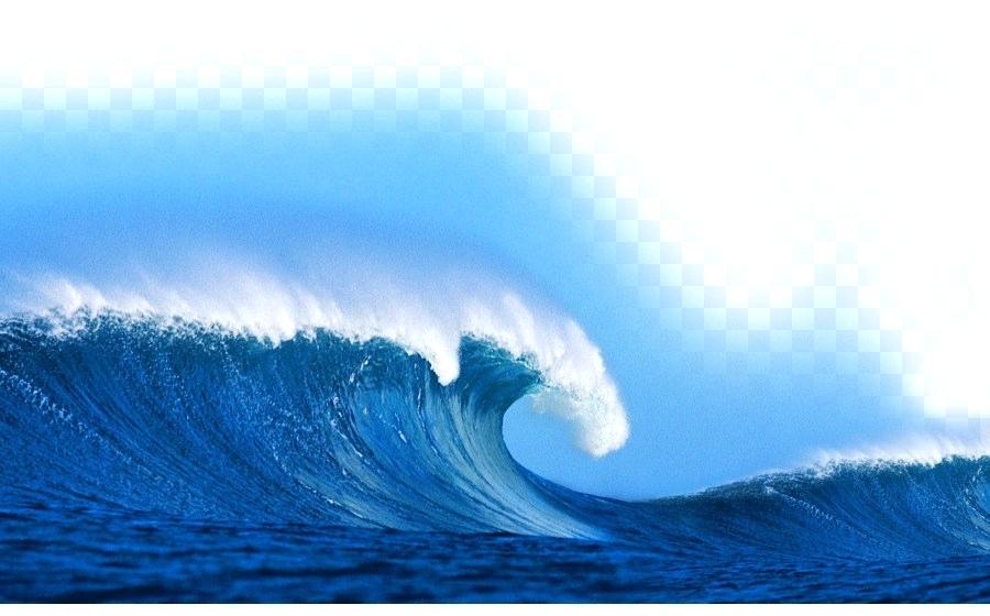 Ocean Wallpaper Sea Wind Wave Ocean Wallpaper Sea Waves - Imagenes De Aves Volando , HD Wallpaper & Backgrounds