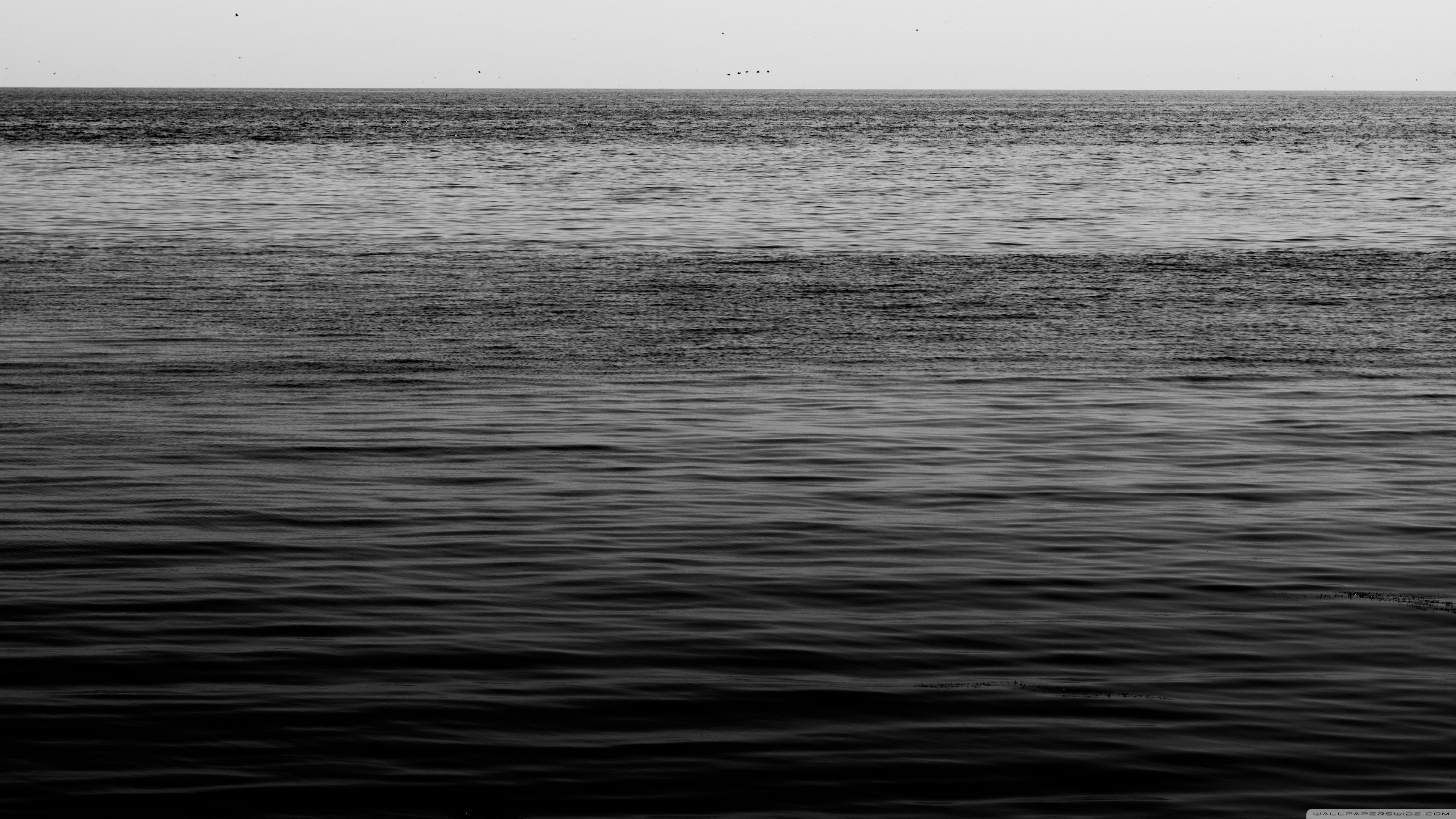 Black And White Ocean , HD Wallpaper & Backgrounds