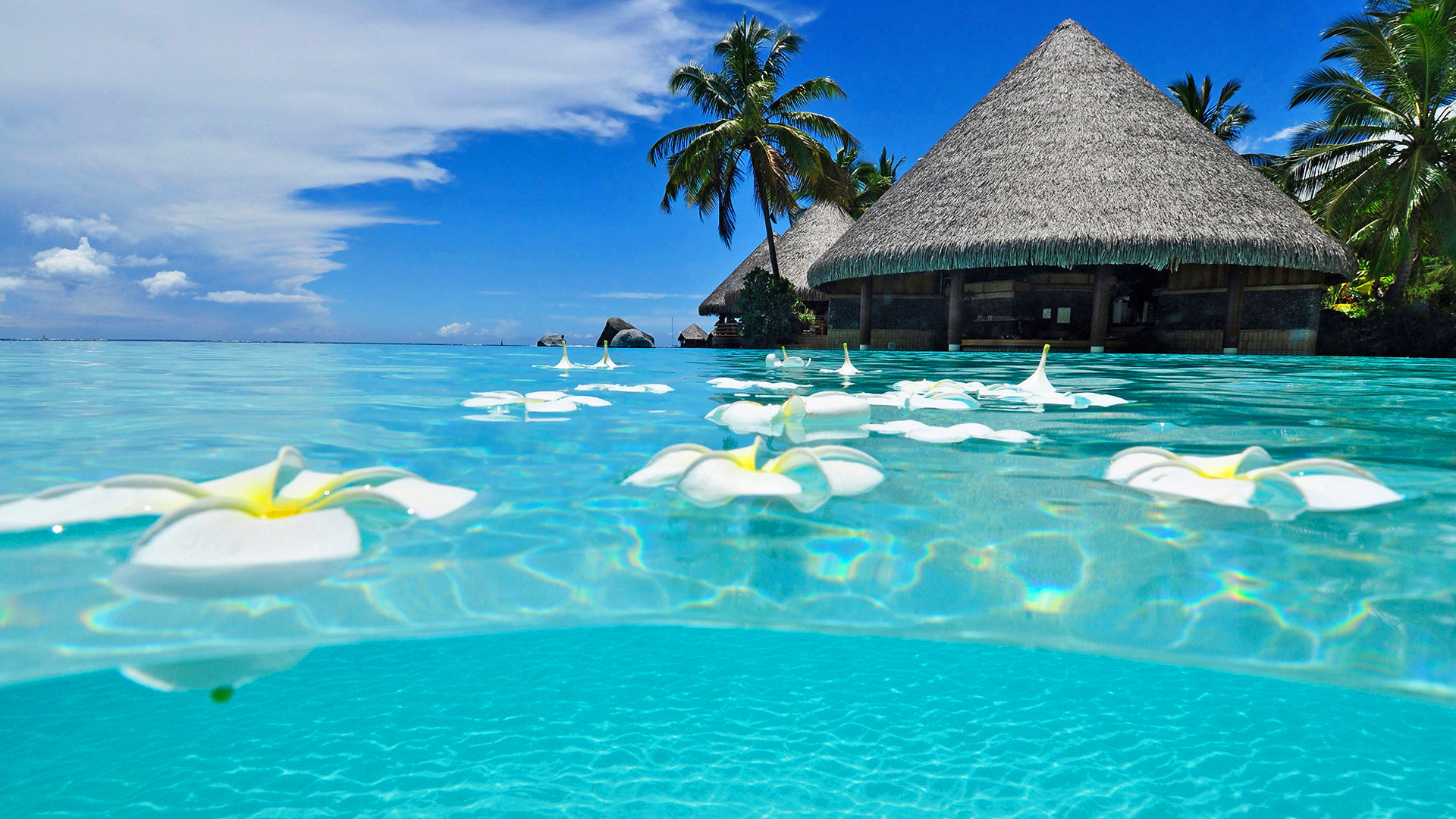 Paradise Wallpapers For Desktop , HD Wallpaper & Backgrounds