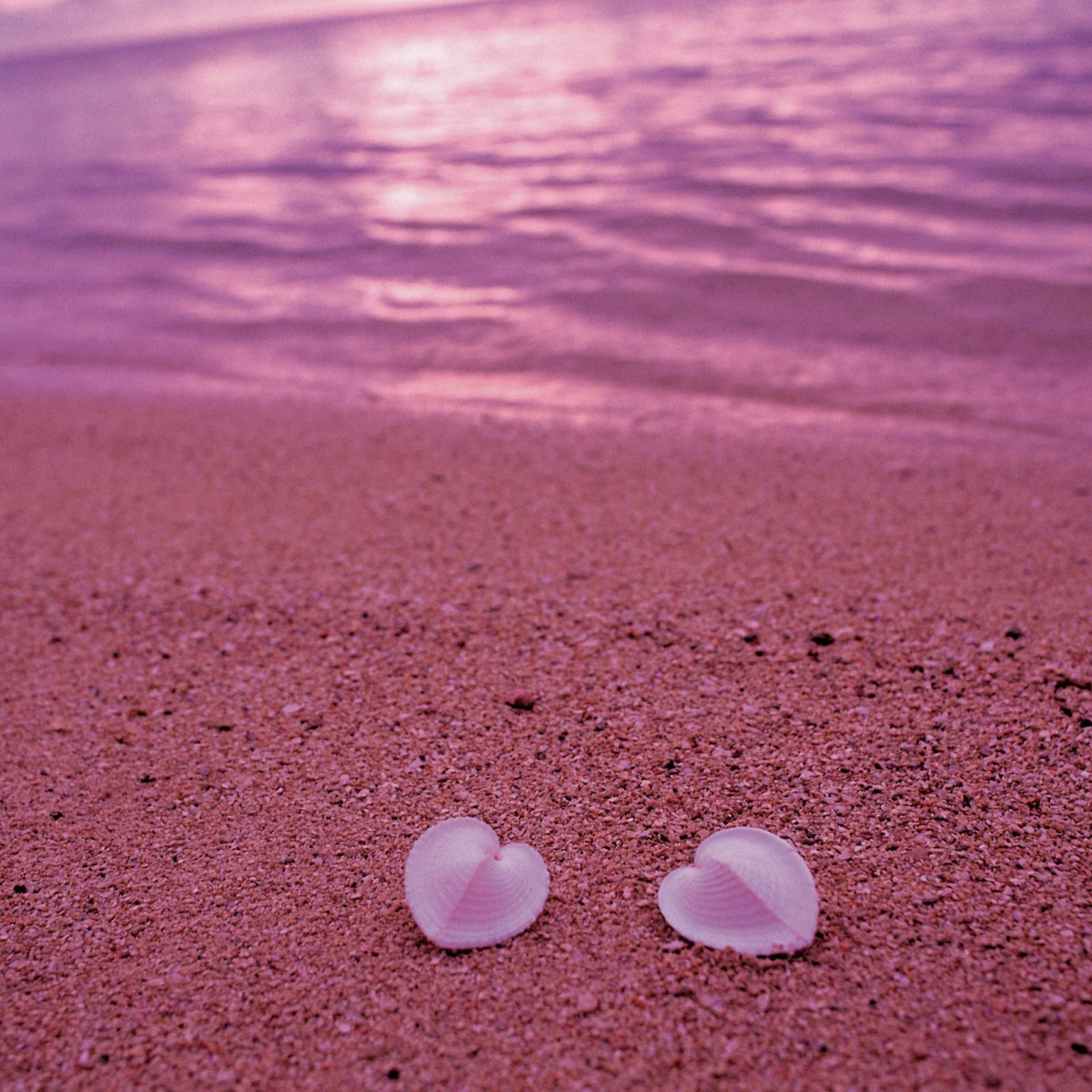 Heart Shaped Seashells On Pink Beach Ipad Air Wallpaper - Pink Beach Seychelles , HD Wallpaper & Backgrounds