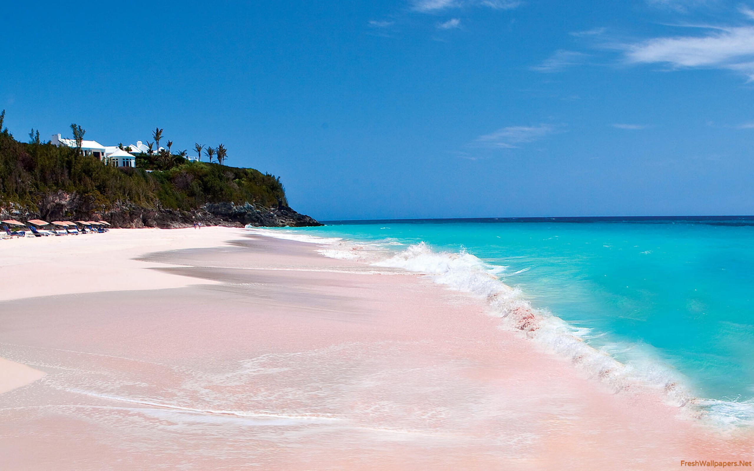 Pink Sands Beach Harbour Island Bahamas Wallpaper - Honeymoon Harbour Island Bahamas , HD Wallpaper & Backgrounds