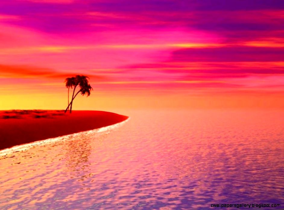 View Original Size - Orange Purple And Pink Sunset , HD Wallpaper & Backgrounds