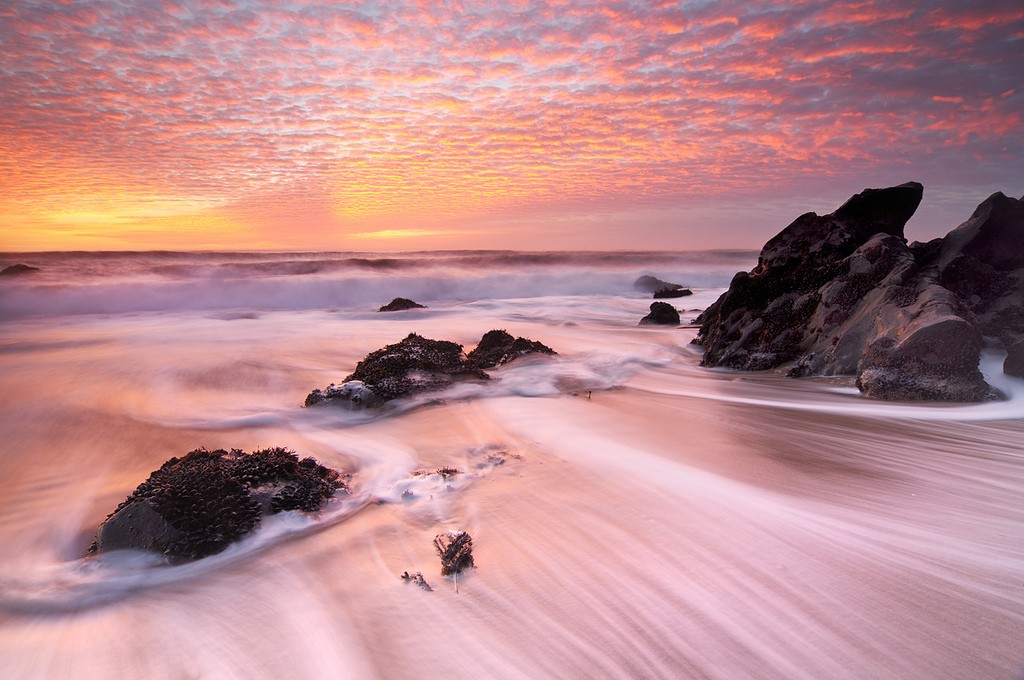Beach Nature Pink Sunset Beaches Wallpaper Photography Hd Wallpaper Backgrounds Download