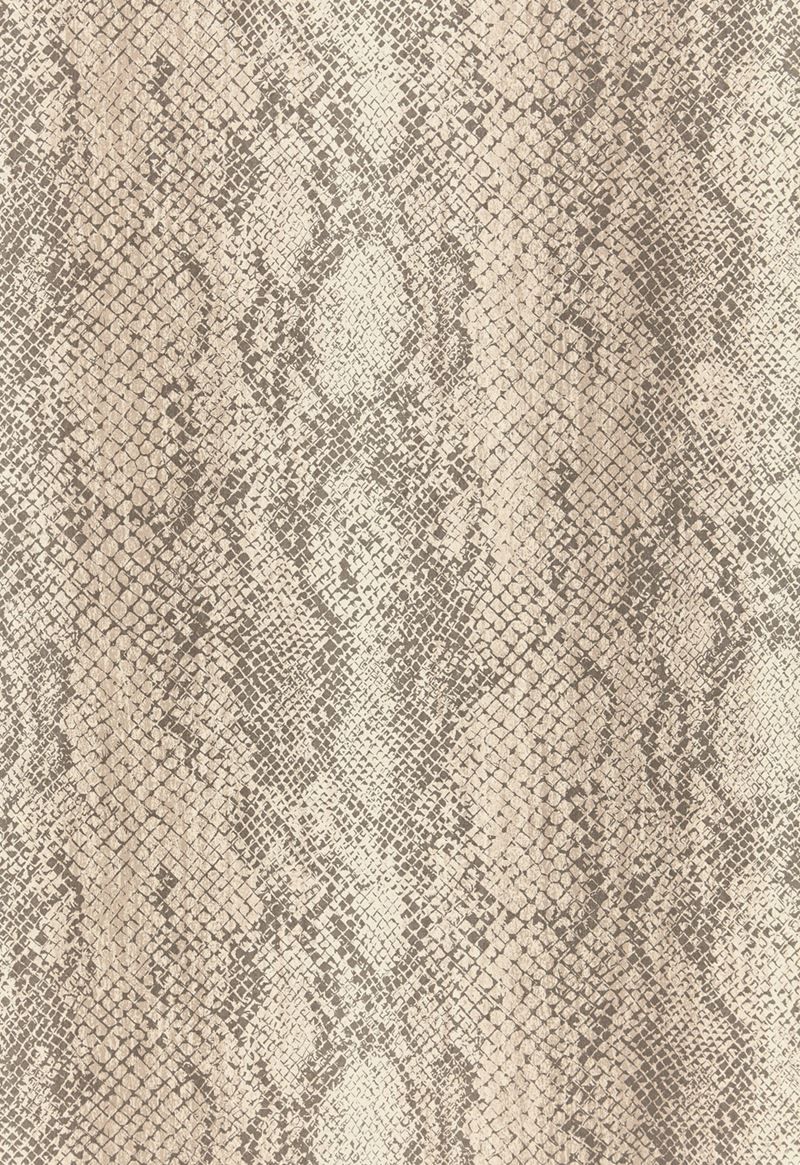 Discount Pricing And Free Shipping On F Schumacher - Luxury Snakeskin Fabric Swatch , HD Wallpaper & Backgrounds