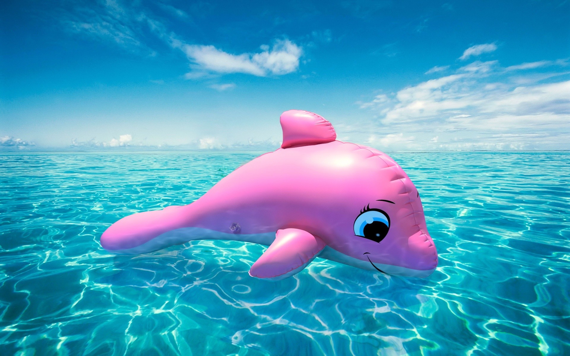 Coral Dolphin Toy Pink Inflatable Reef Beach Wallpaper - Cute Pink Dolphin , HD Wallpaper & Backgrounds