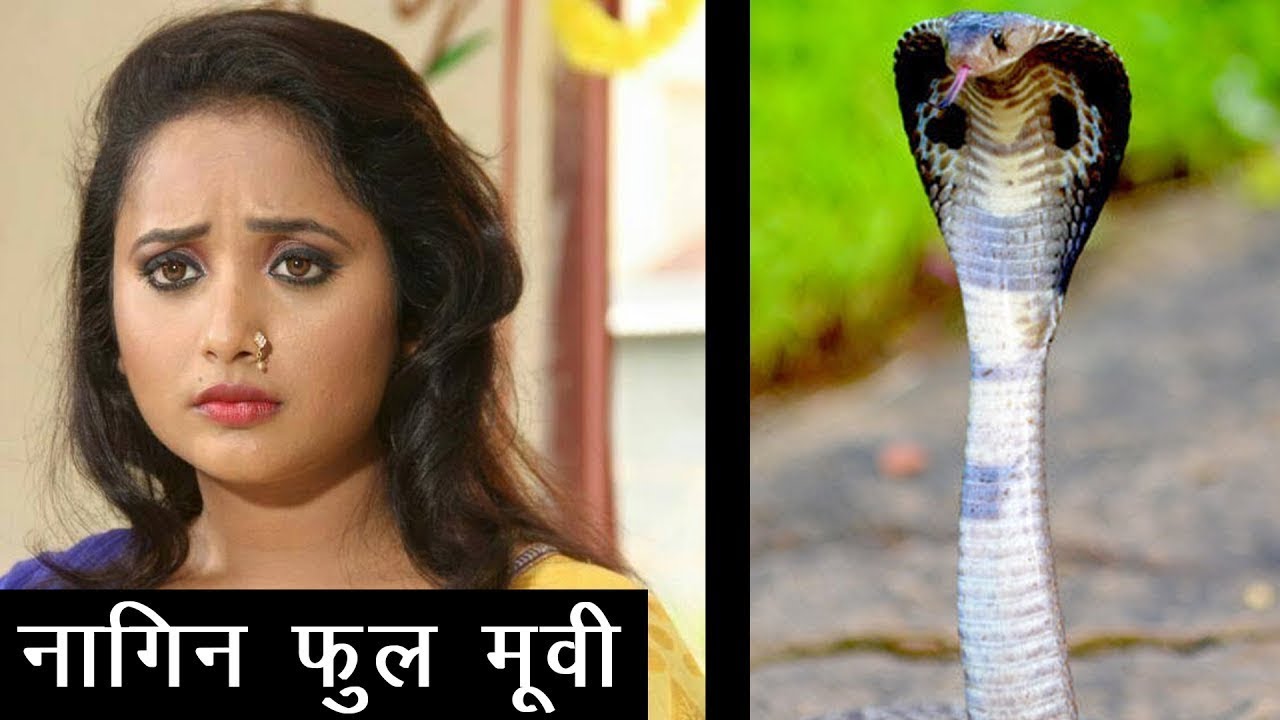 Rani Chatterjee Full Movie 2019 - Rani Chatterjee , HD Wallpaper & Backgrounds